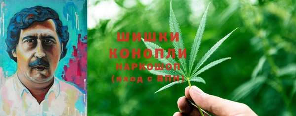 мдпв Волосово