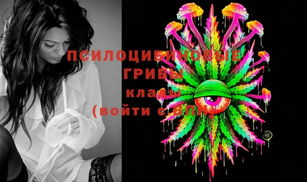 мдпв Волосово