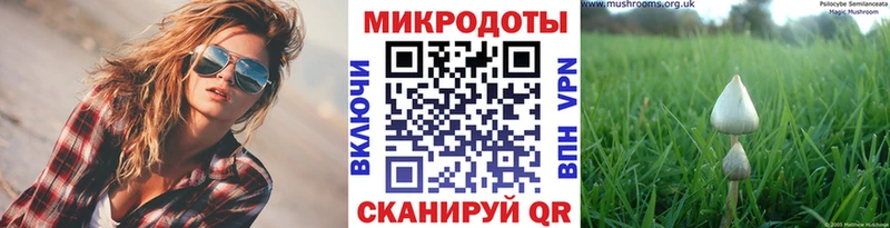 Псилоцибиновые грибы GOLDEN TEACHER  Купить  Ухта 